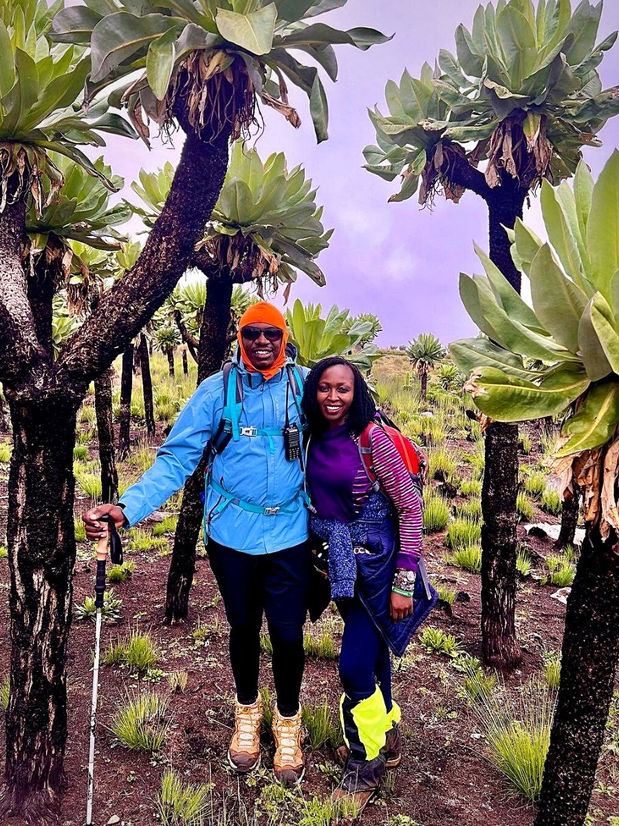scenic hiking trails in Kenya's flower-growing regions