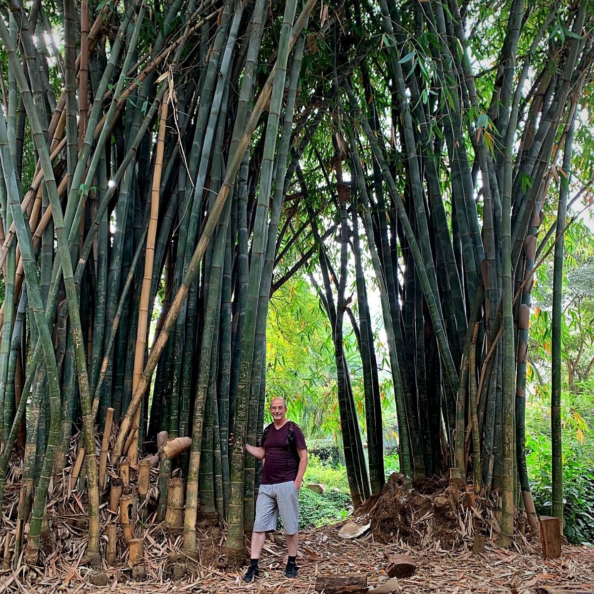 scenic hiking trails in Kenya's flower-growing regions