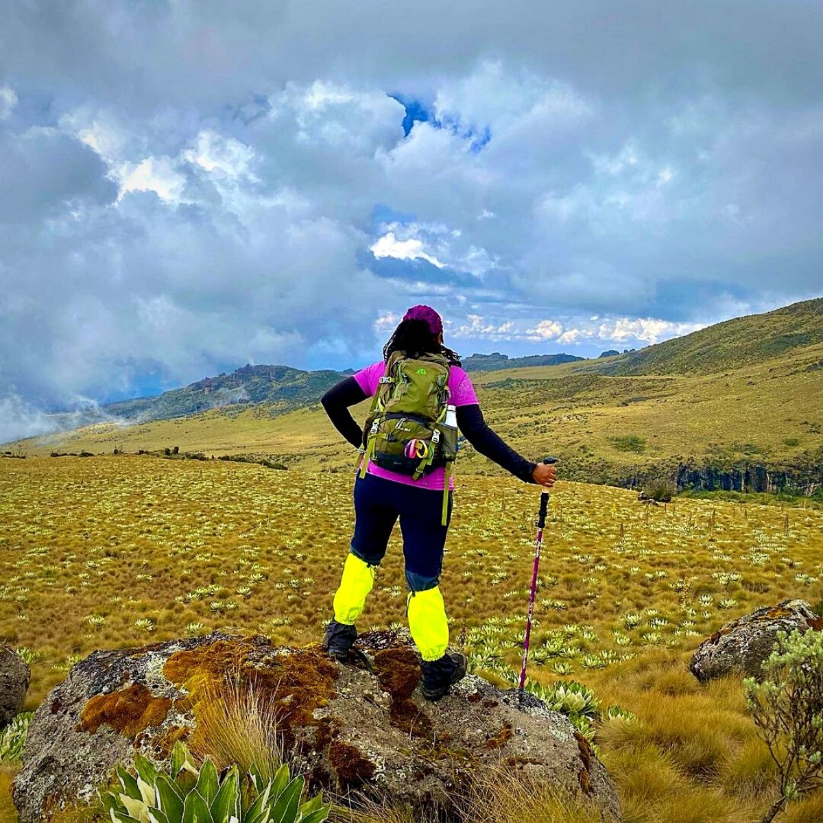 scenic hiking trails in Kenya's flower-growing regions