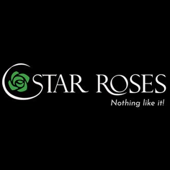 Star Roses - Grower onThursd