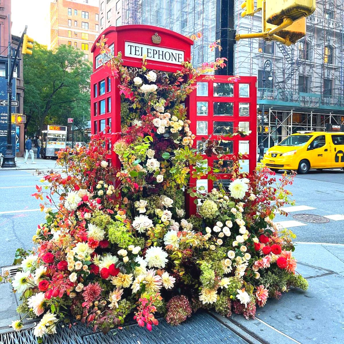 Flower display on a telephone booth
