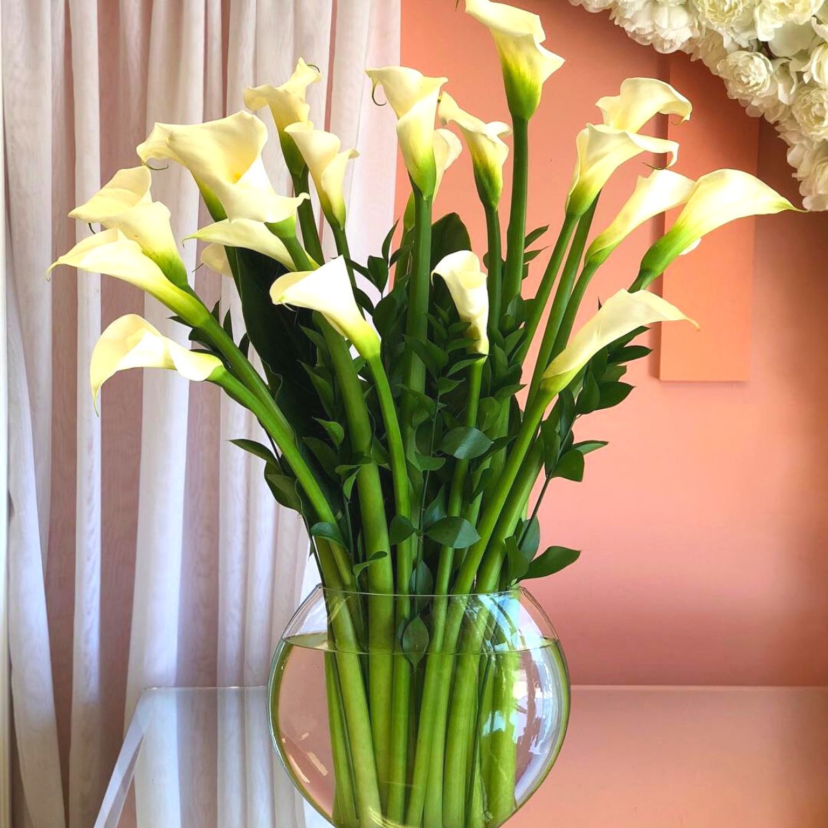 White callas in a transparent vase