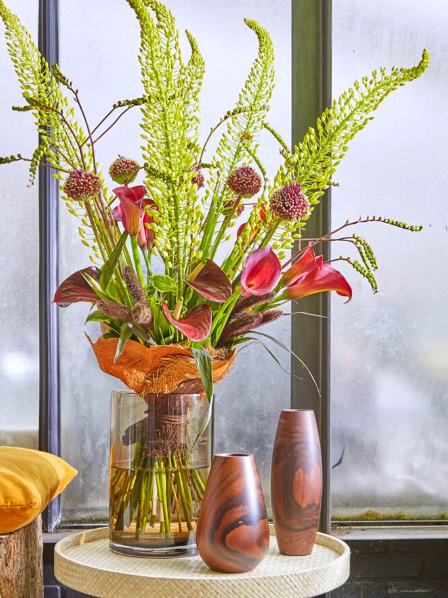 How to care for calla lilies in a vase
