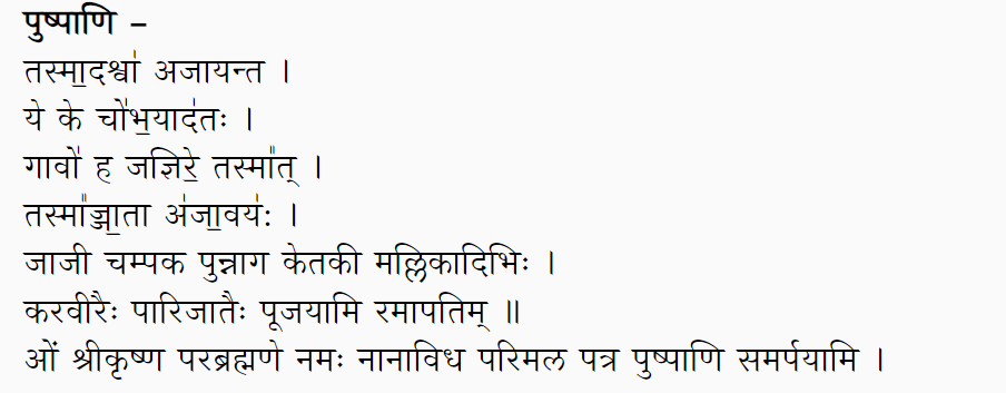 Shlokas used for prayers of Lord Krishna, mentioning use of Champa and other flowers as offerings to the lord