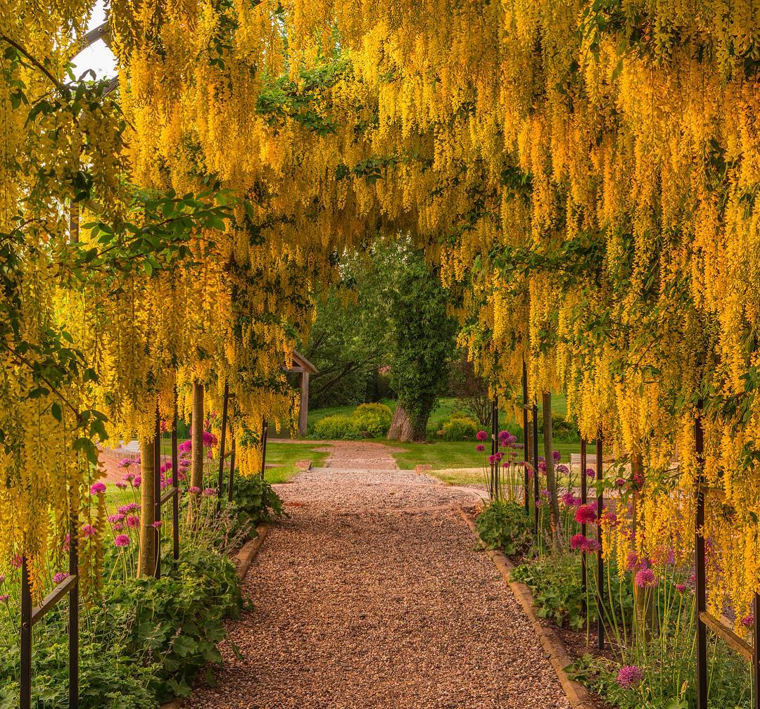 Clive Nichols Captures Marvelous Gardens You'll Want to Get Lost in Golden Arch