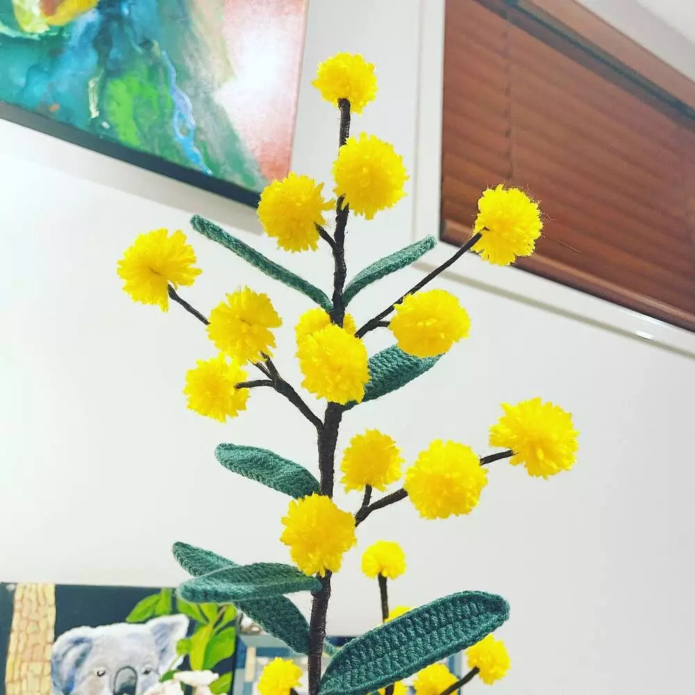 Golden Wattle flower