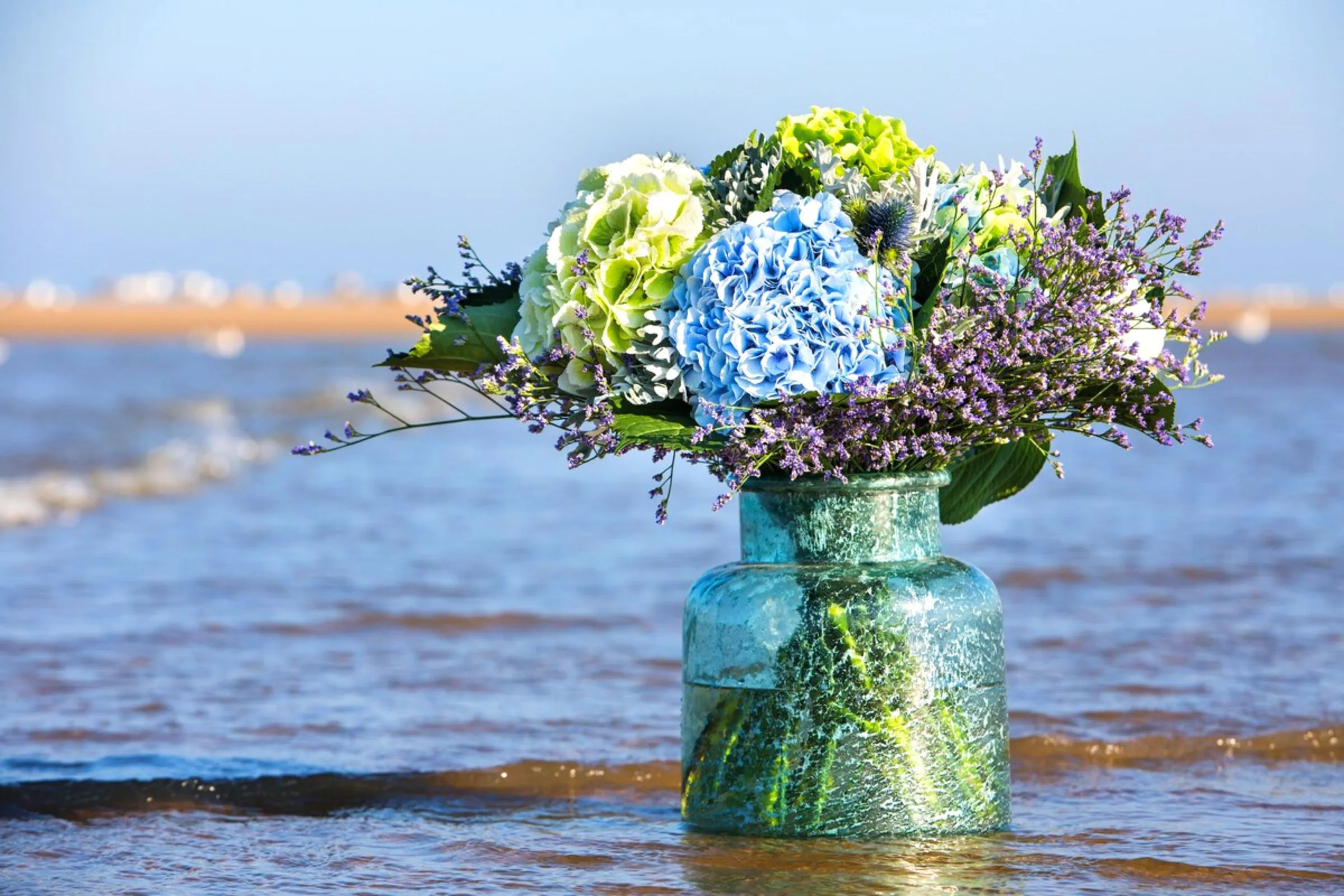 View of a vase with hydrangeas