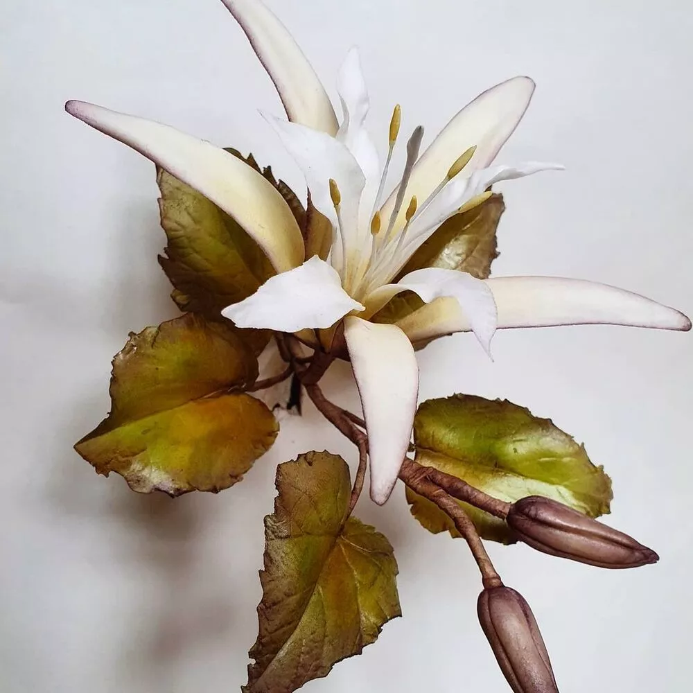 White Kanak Champa Flower