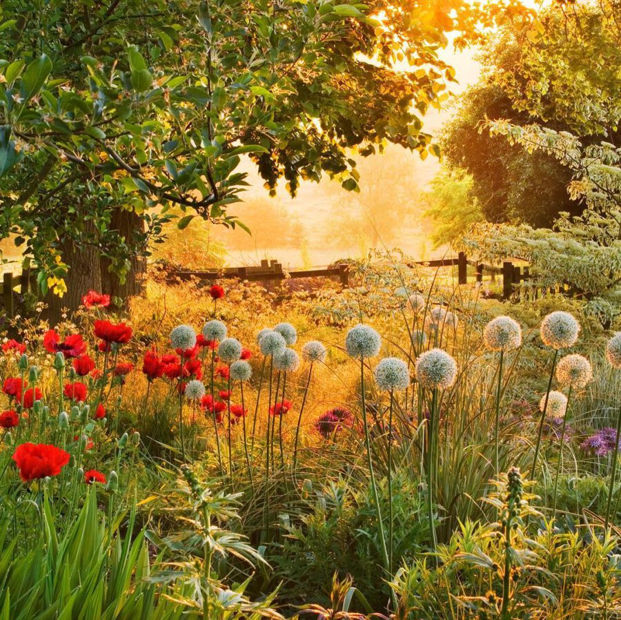 Clive Nichols Captures Marvelous Gardens You'll Want to Get Lost in romantic garden