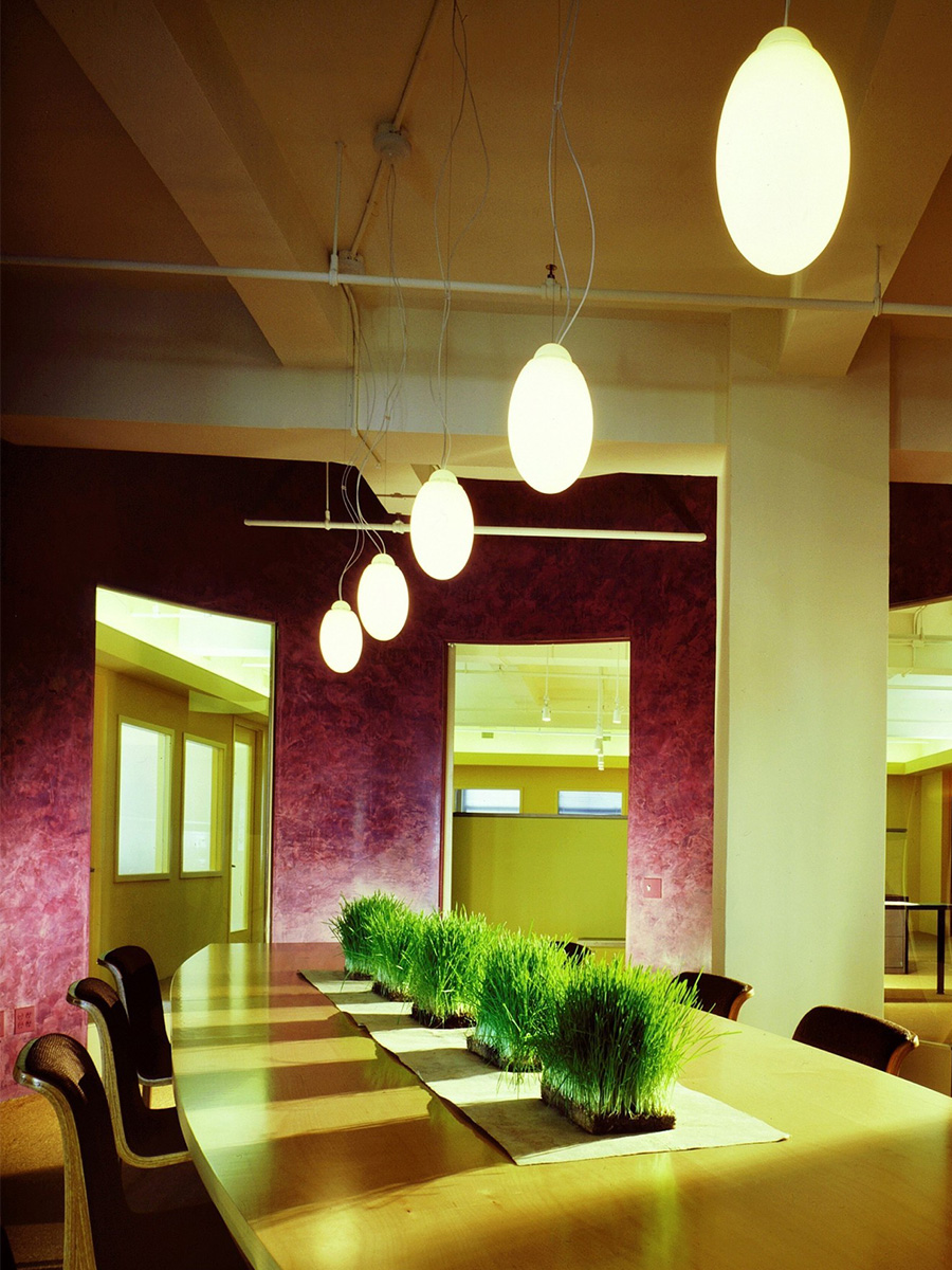 Green Grass on meeting table on Thursd Green office