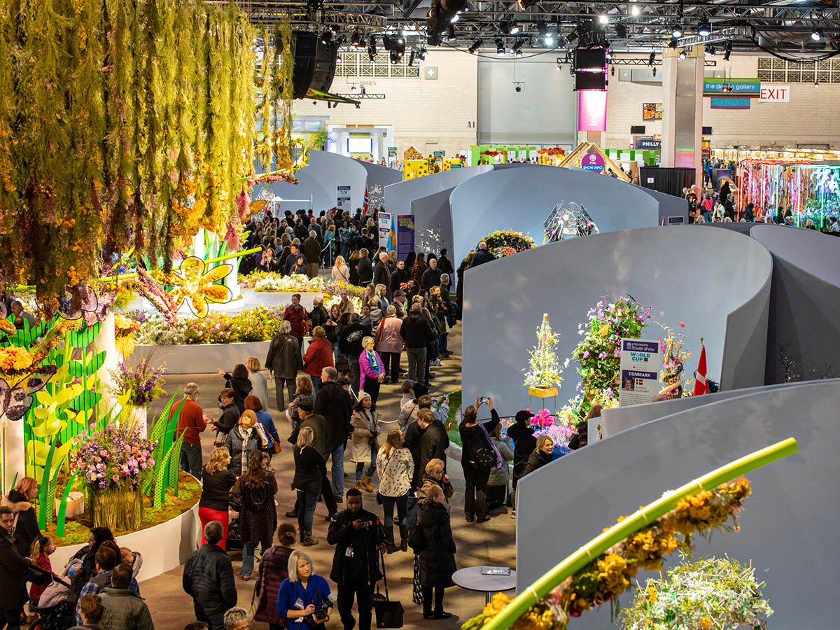 Interflora World Cup Village Green