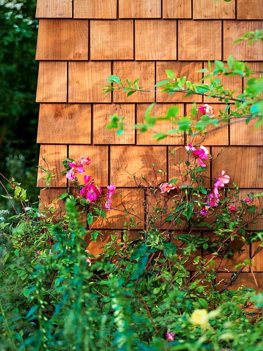 Garden Room Harnesses Nature's Restorative Qualities for Spinal Patients