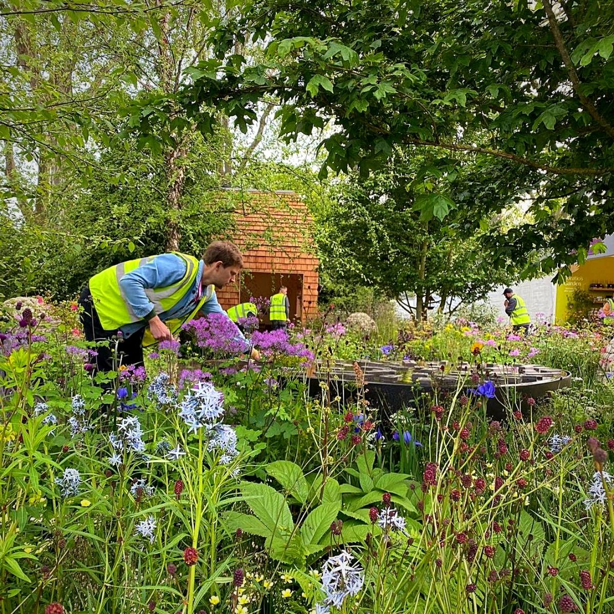 Garden Room Harnesses Nature's Restorative Qualities for Spinal Patients