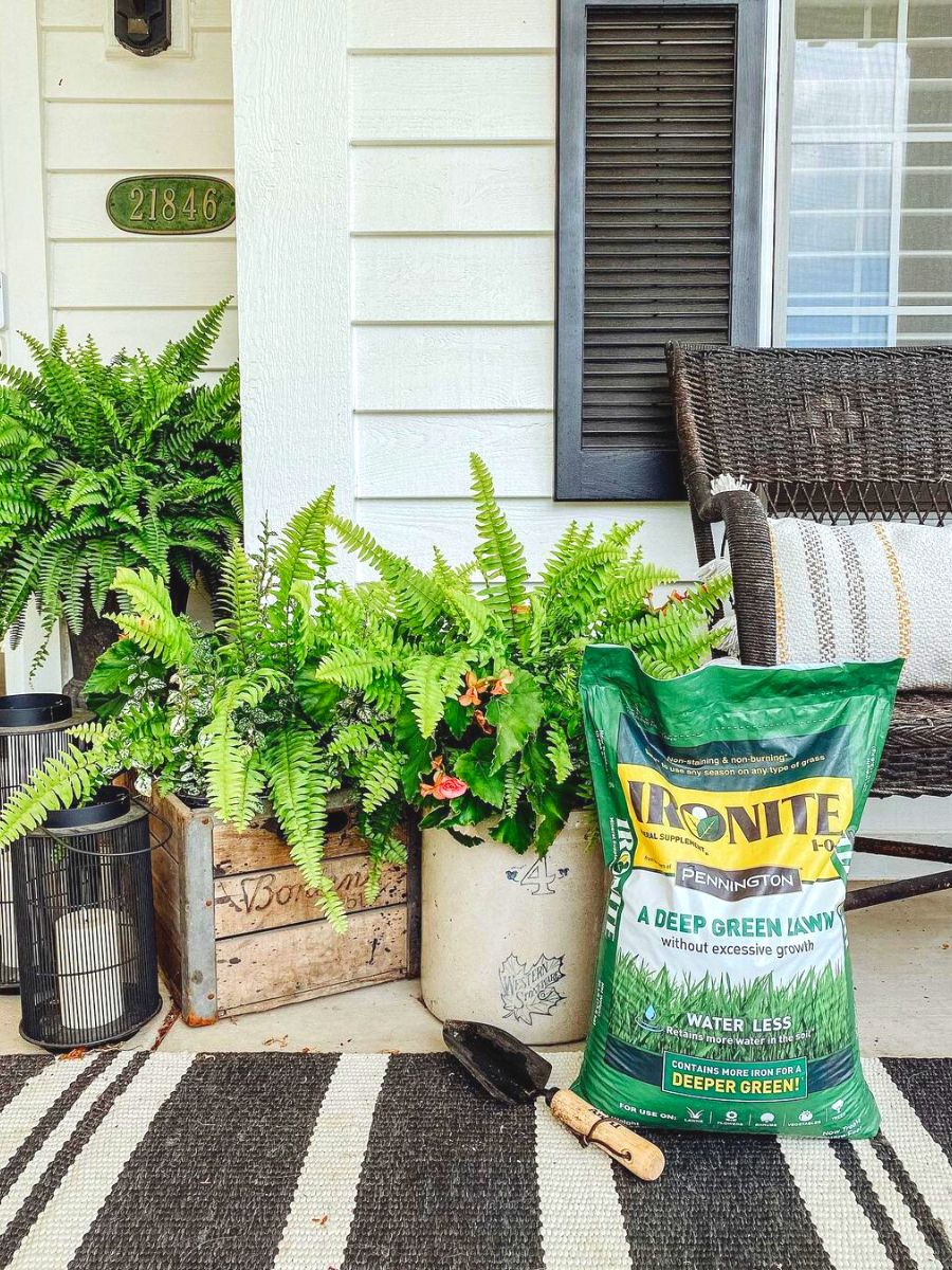 Fertilizer for better gardening results