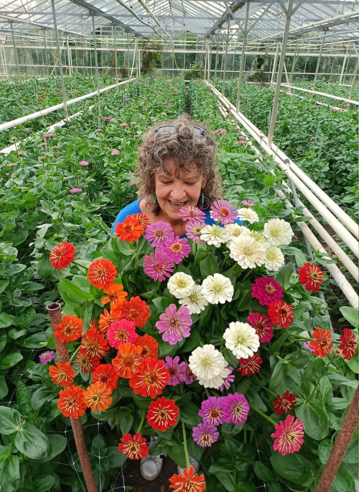 Petri from Il Fiori Loves Zinnias - Maurits Keppel