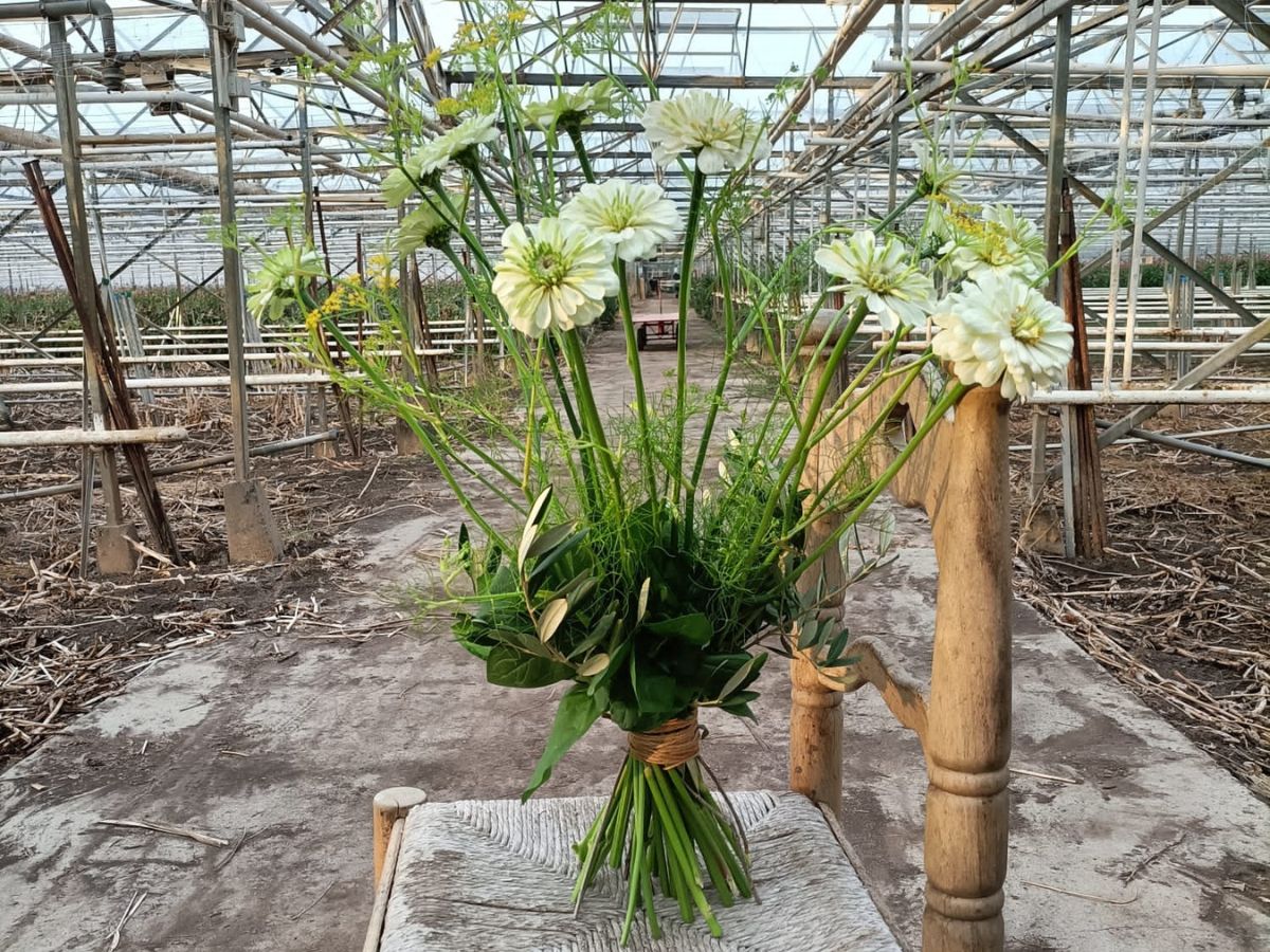 White Bouquet Zinnias by Petri Rijsdijk at Maurits Keppel