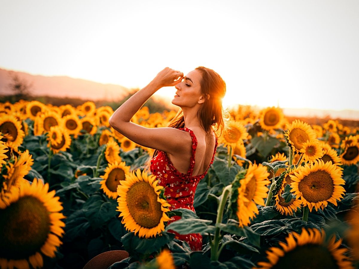 Typical Autumn Flowers That You Can Try Out