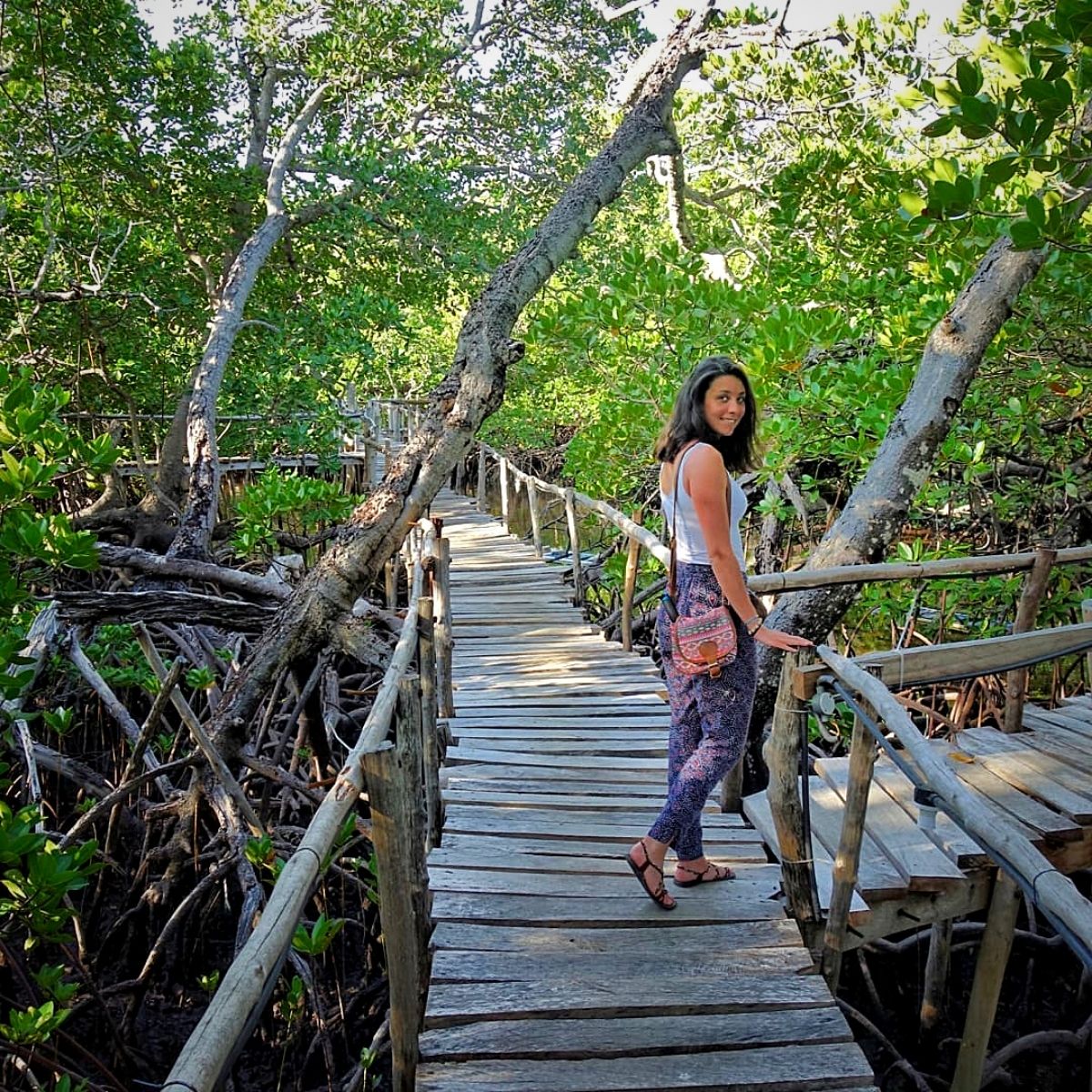 Your Trip to Madagascar: An Eco-Friendly Visit to the Biodiverse Island  Nation - Ecotourism World