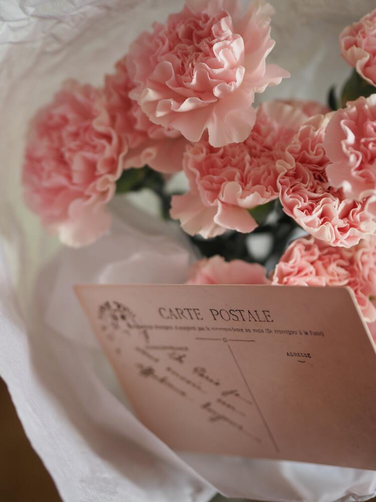 Pink carnations with envelope