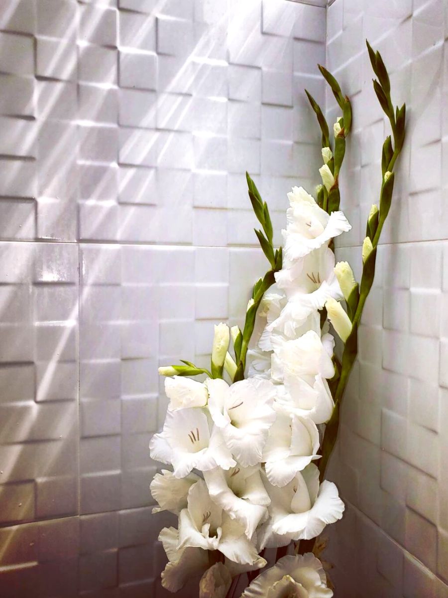 White gladioli are a very popular choice as sympathy flowers