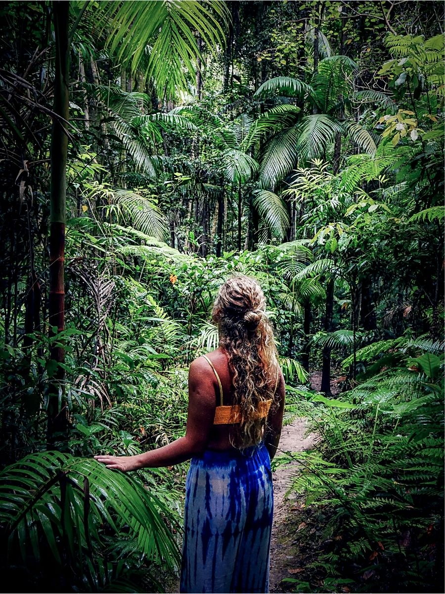 Shinrin-Yoku​ The Ancient Art of Forest Bathing