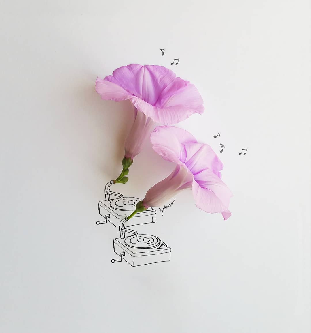 Jesuso Ortiz Turns Flowers and Everyday Objects Into Art Flower Drawing