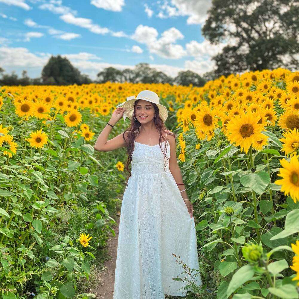 Girl clicked  a photo with sunflowers