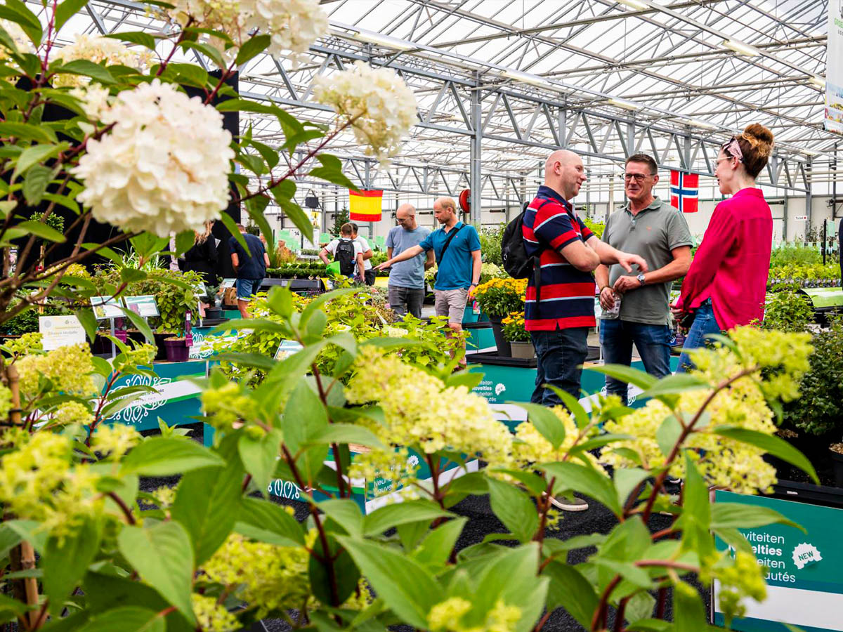 Plantarium Groen Direkt