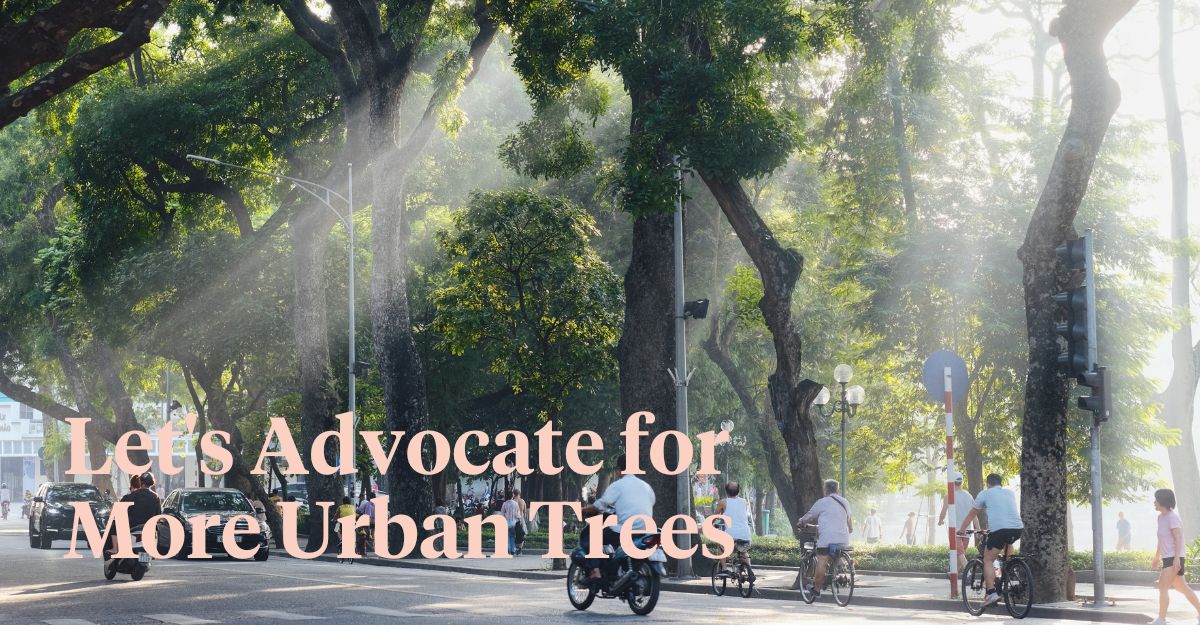 Urban trees