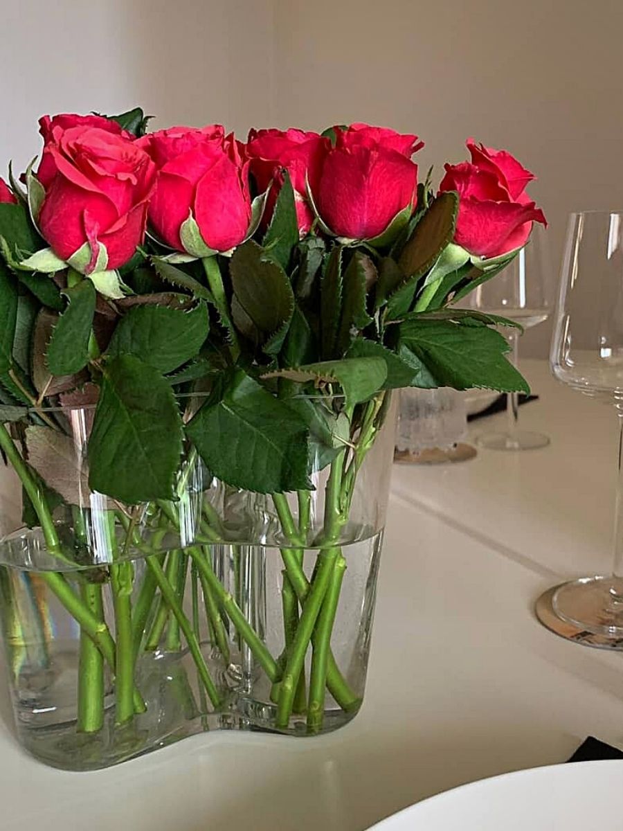 Rose Varieties Will Be Used at the Interflora World Cup 2023