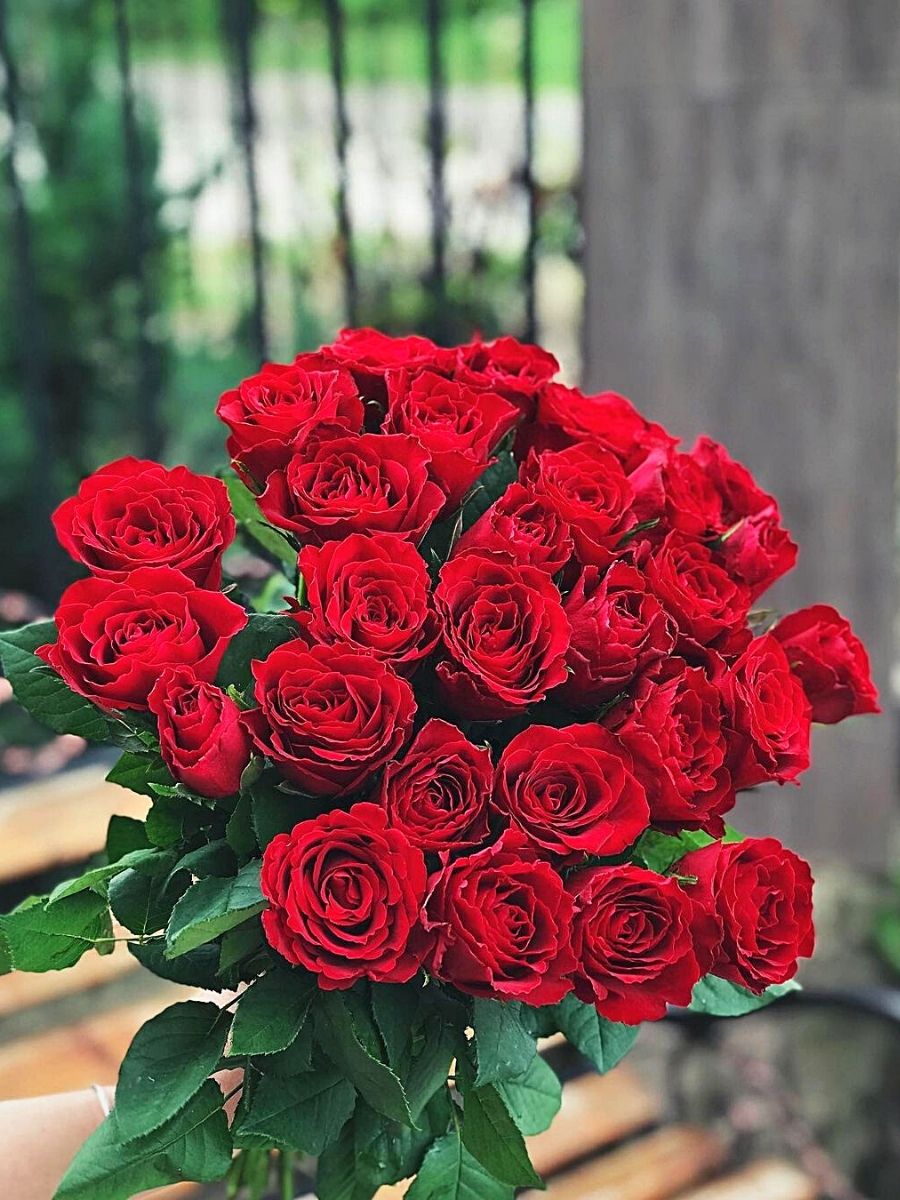 These 12 Rose Varieties Will Be Used at the Interflora World Cup 2023 