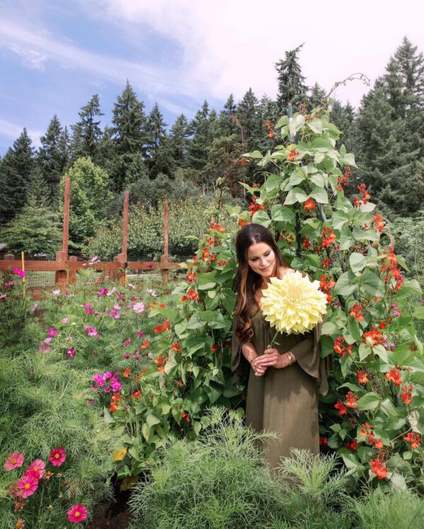 15 Flowering Vines to Add to Your Garden Scarlett Runner Bean
