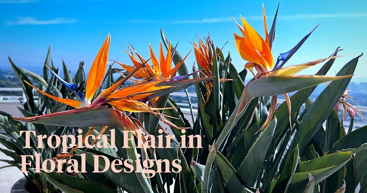 The Charm of Bird of Paradise in Floral Designs and Arrangements