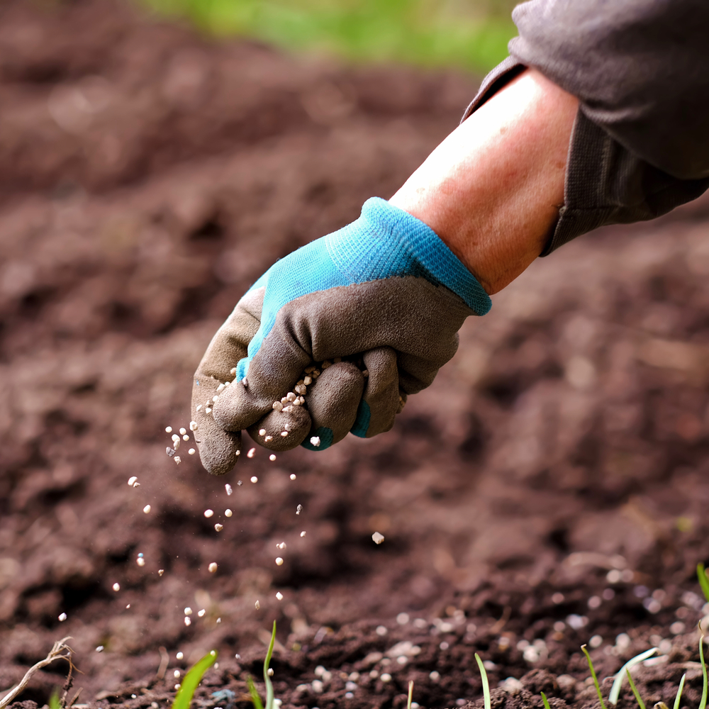 Apply fertilizer to agriculture land