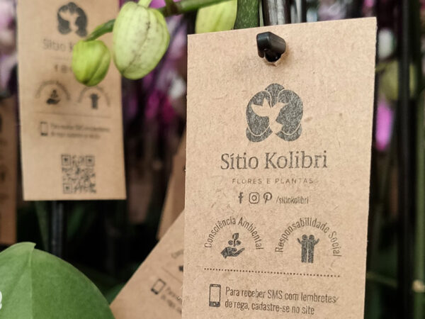 The Adventures of Phalaenopsis Grower Sítio Kolibri - label