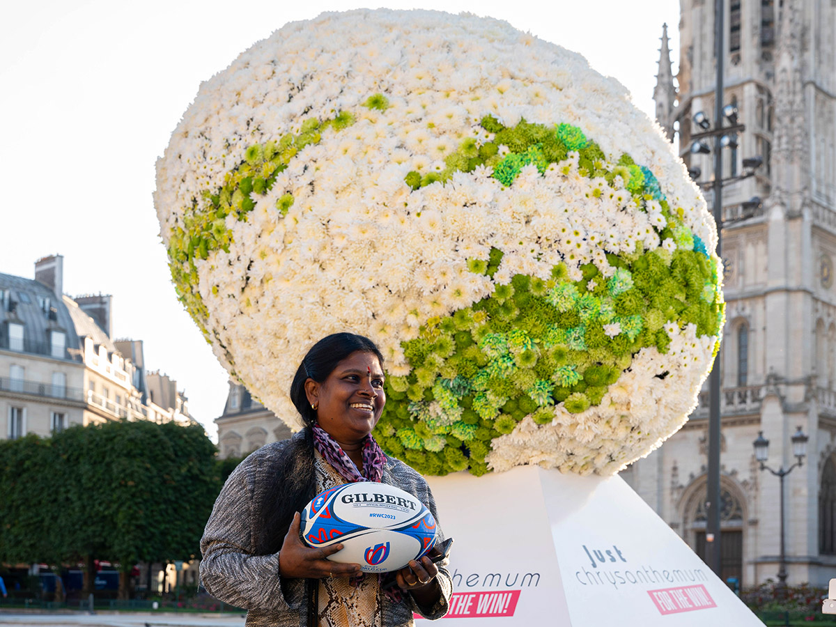 Chrysanthemum Rugby Ball Paris