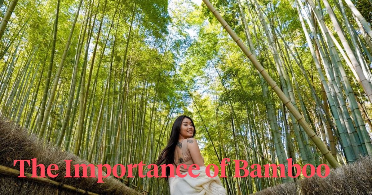 Girl with bamboos in the background