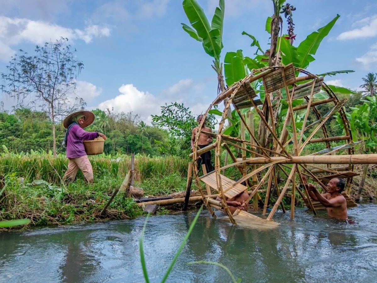 The origins of bamboo plants