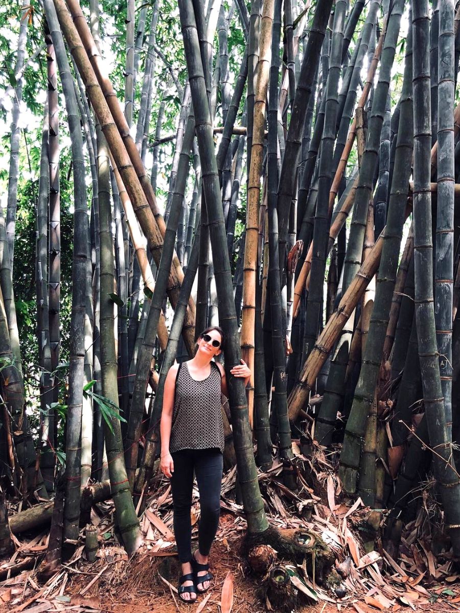 Girl hugging bamboo trees