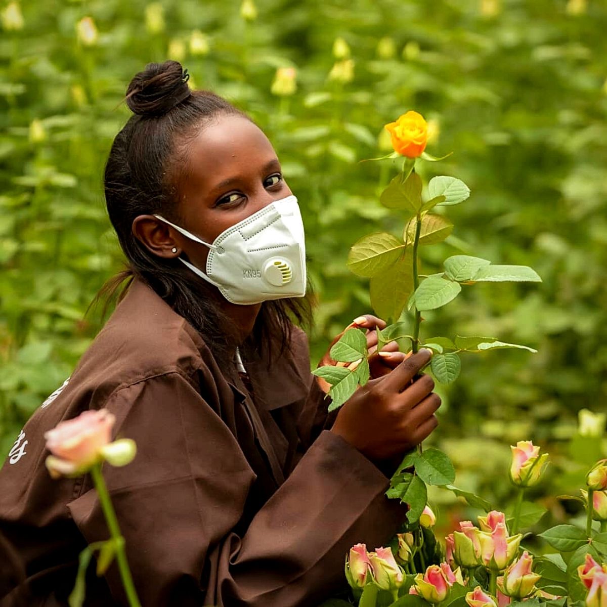 Rwanda's Nascent Flower Industry