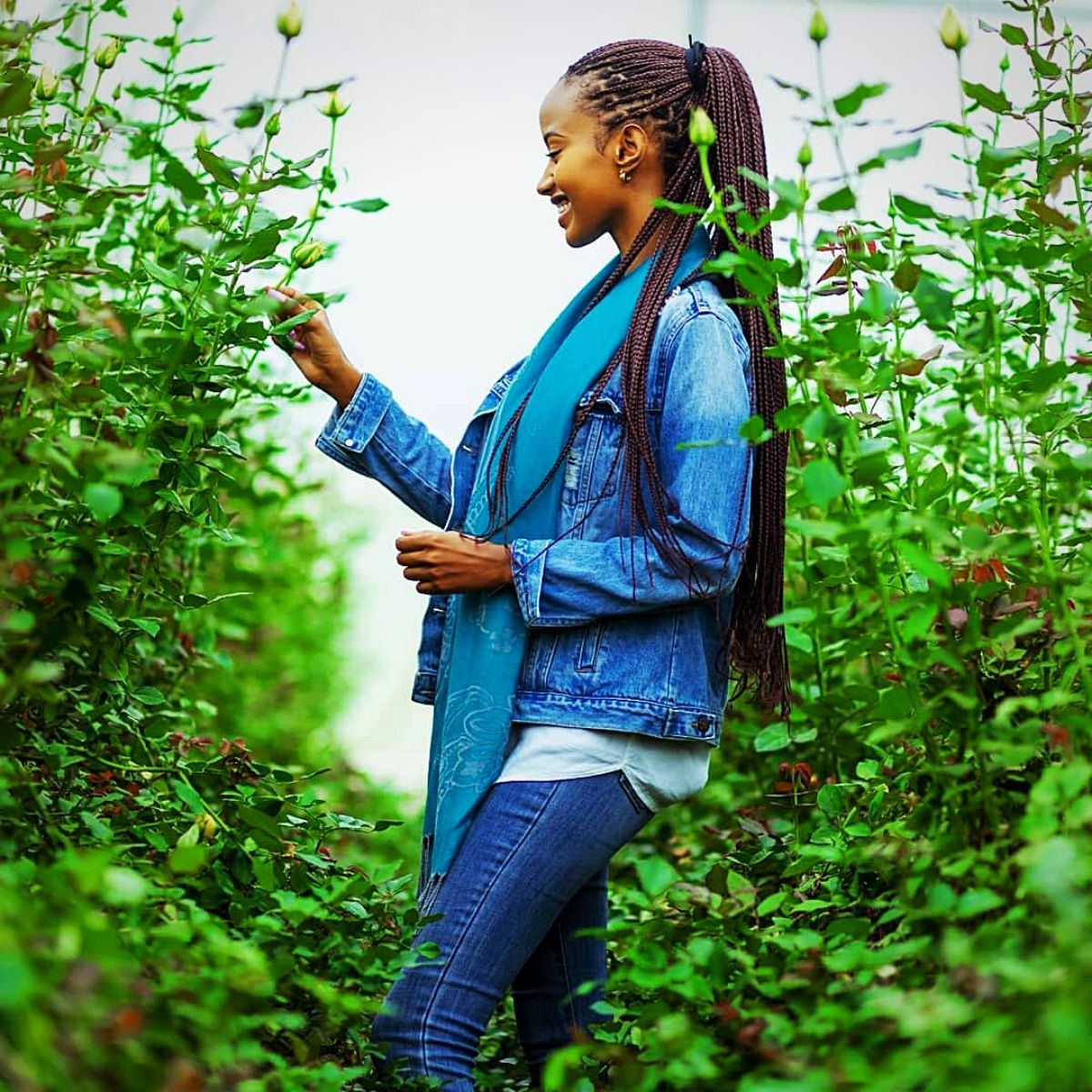 Rwanda's Nascent Flower Industry