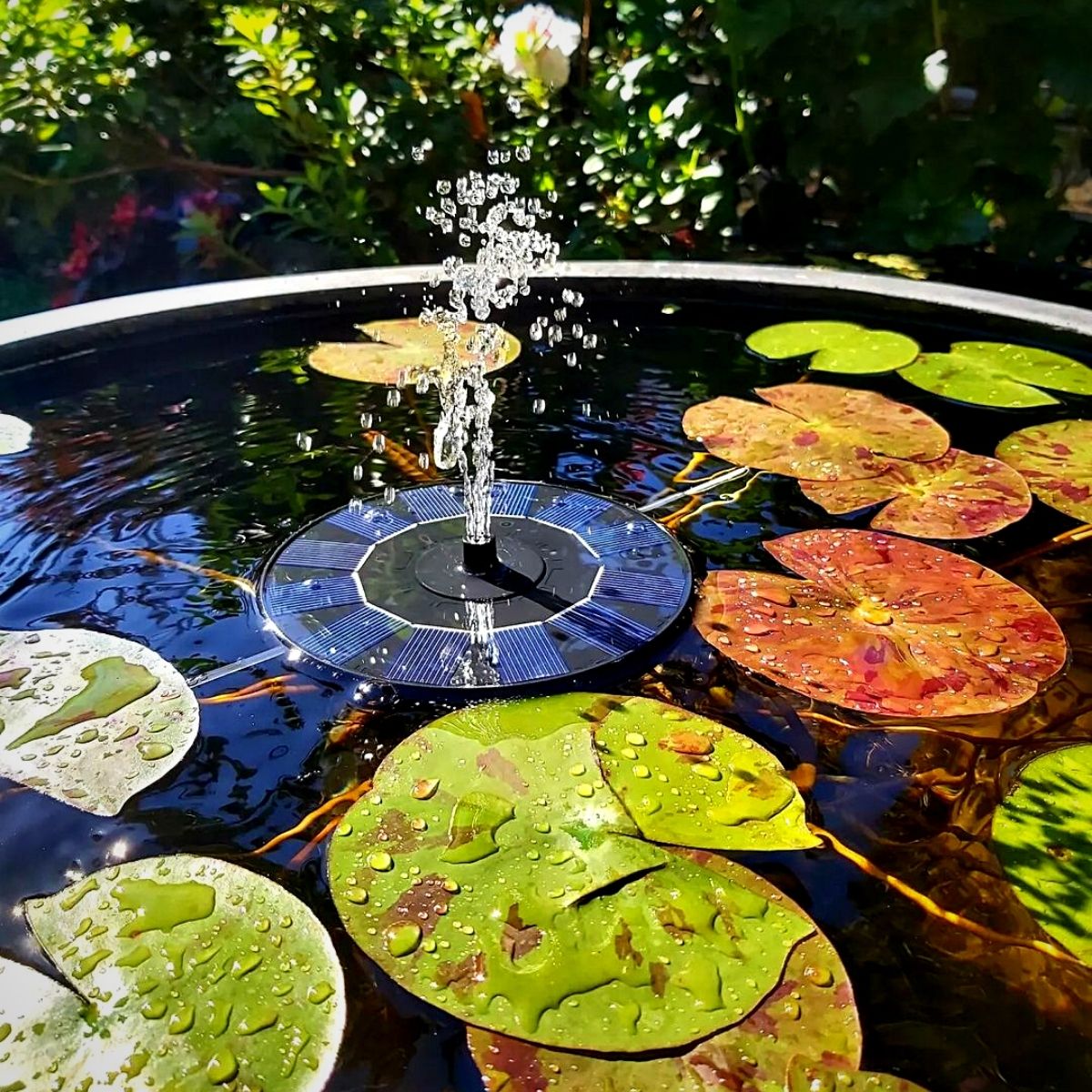 Build a Low-Maintenance Water Feature for the Garden