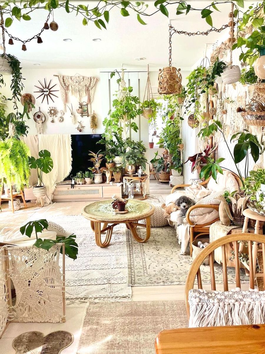 The perfect indoor plant living room