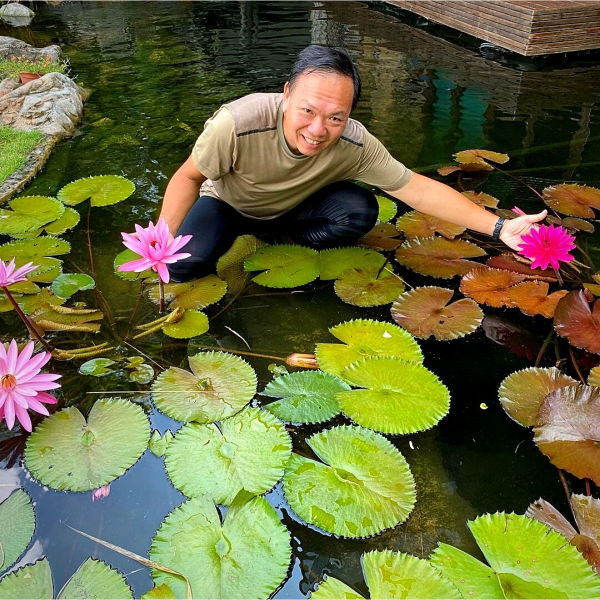 Aquatic Plants Perfect for Small Outdoor Water Features