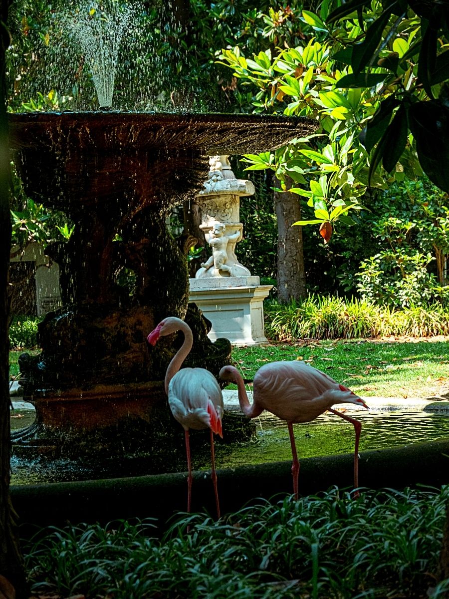 Wildlife Gardening Brings a Vibrant Ecosystem Into Your Backyard