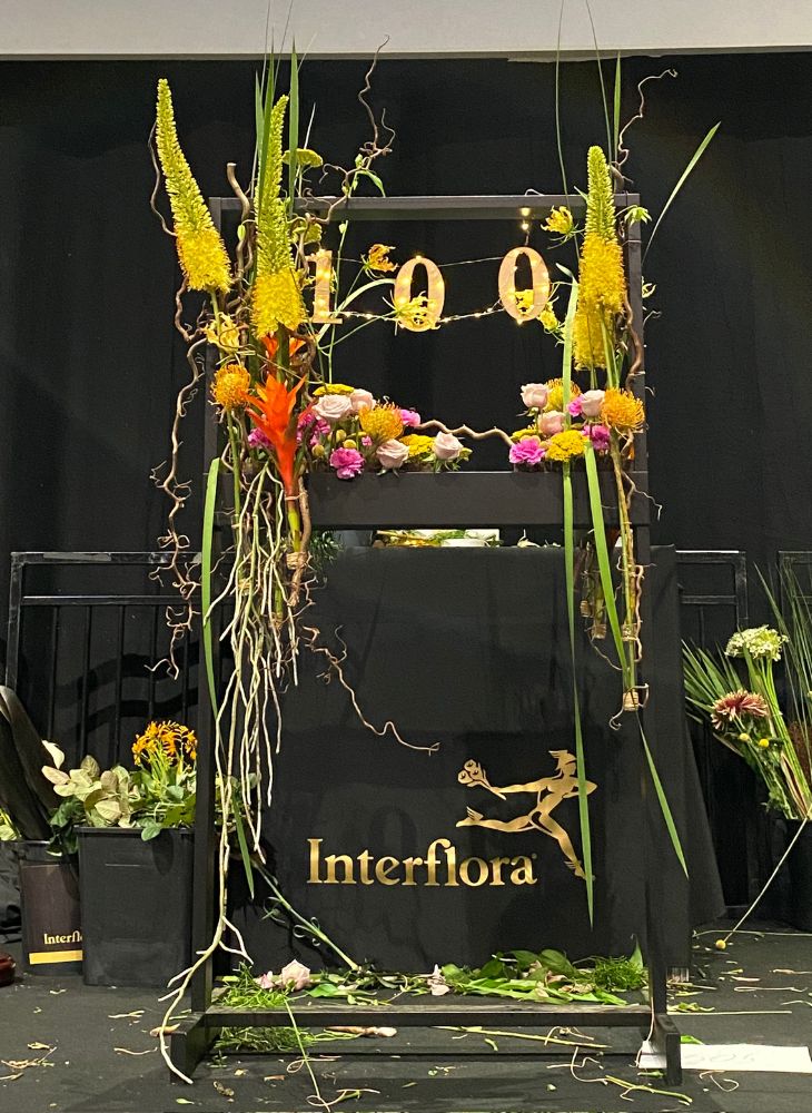 Elizabeth Newcombe Grand Final Interflora World Cup 