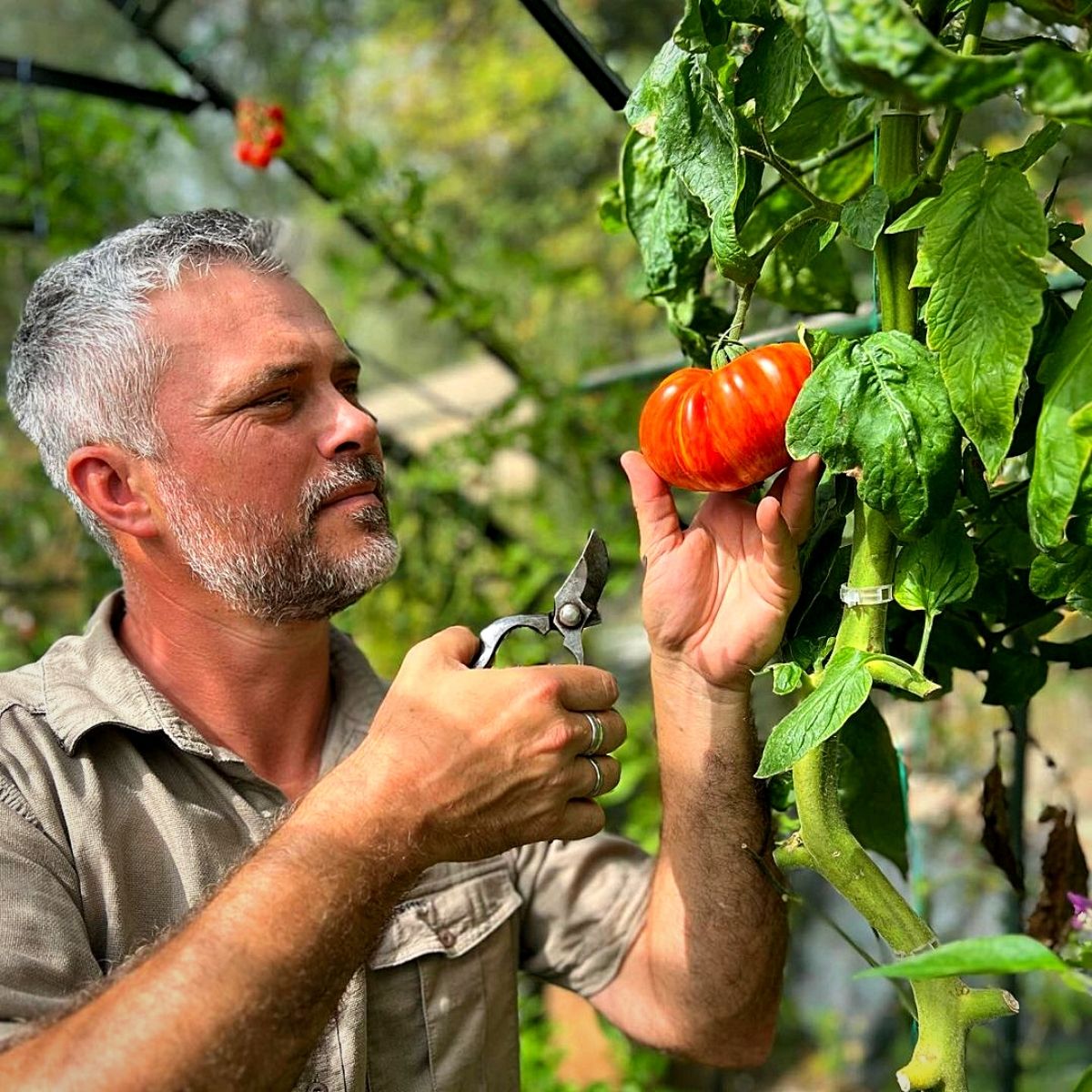 National Farmers Day Honors Farmers