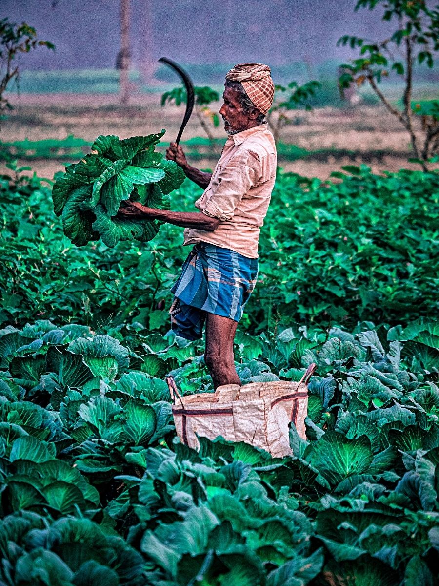 National Farmers Day Honors Farmers