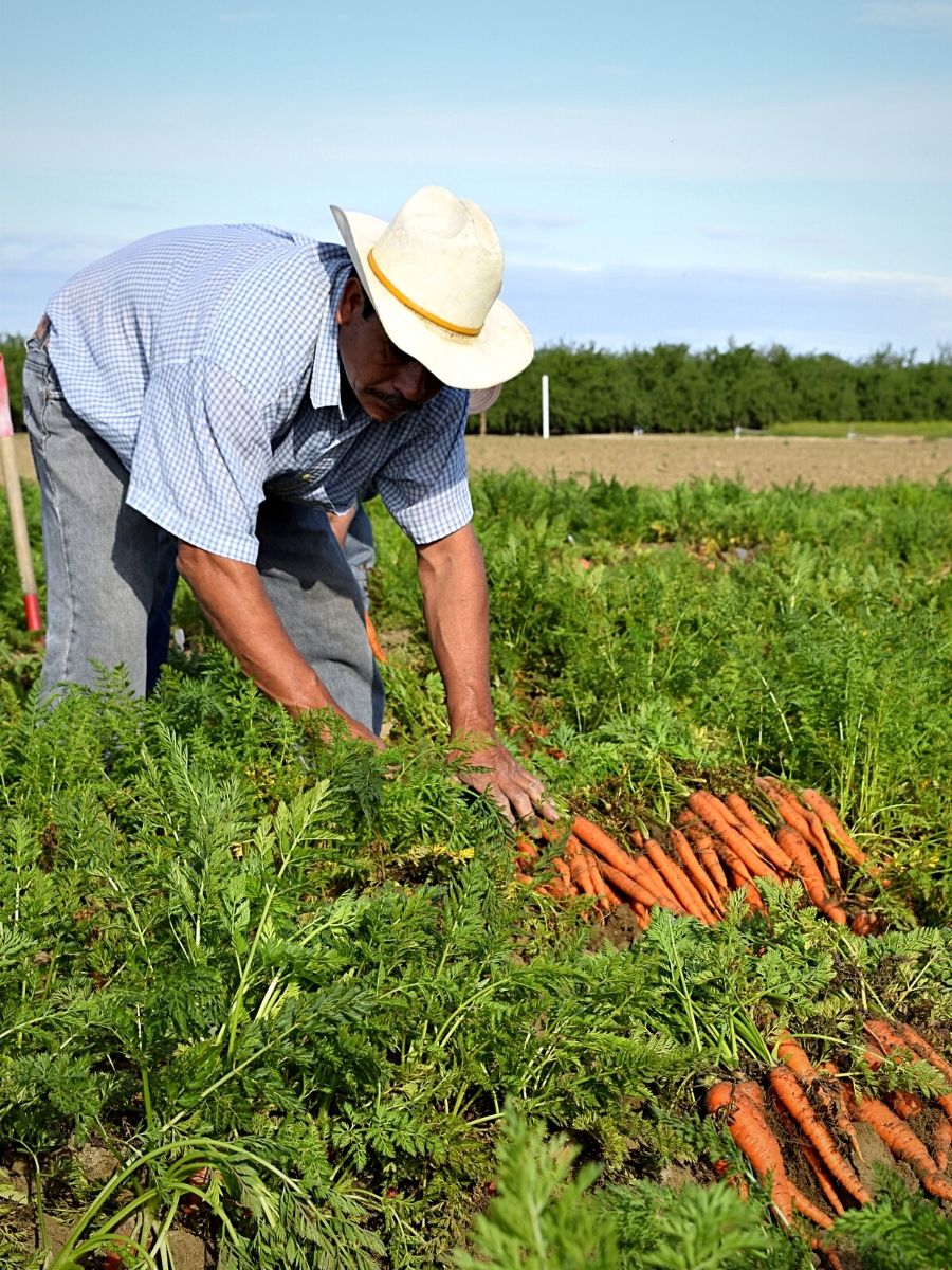 National Farmers Day Honors Farmers