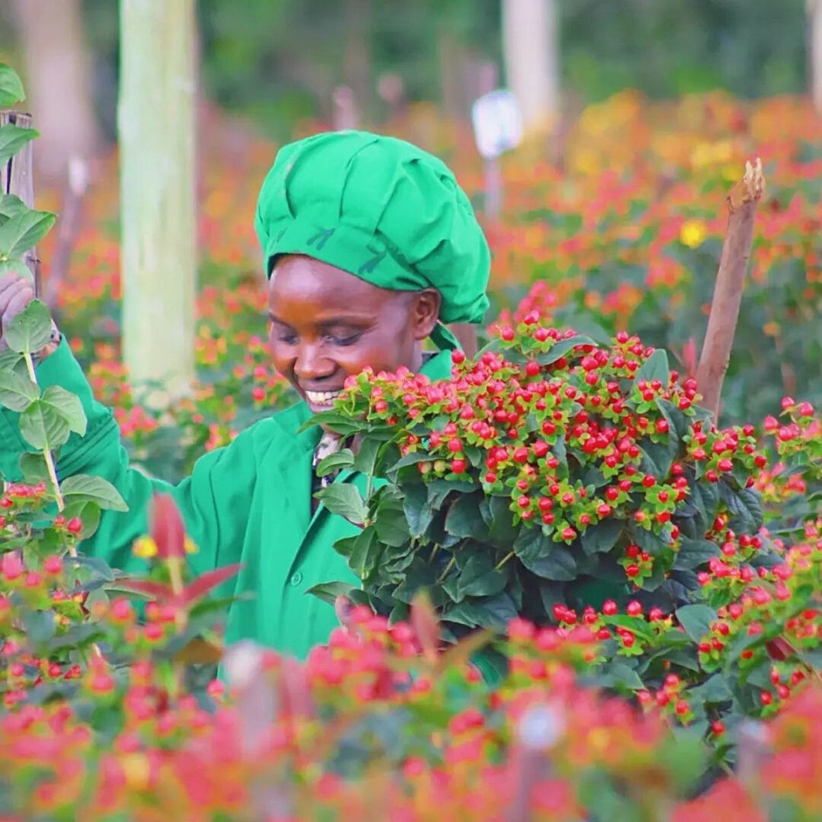 ​Naivasha​, the​ Capital of Kenya's​ Flower Industry